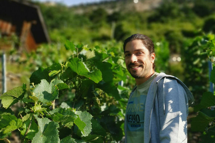 Weingut Cipolla