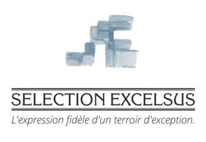 Logo Selection Excelsus