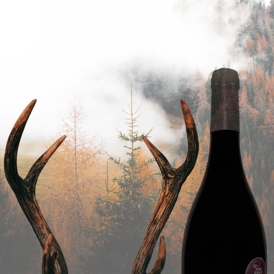 Accord gibier de chasse et vin