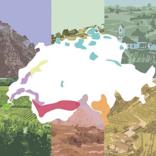 les 6 régions viticoles