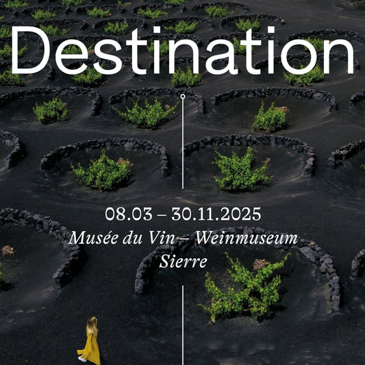 L'exposition 2025 du Musée du Vin : Destination Vin