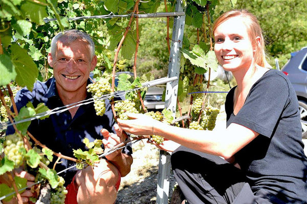Cave suisse de l'année 2026 : le Domaine Claudy Clavien