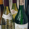 Verticale ou horizontale : quelle dégustation de vins choisir ?
