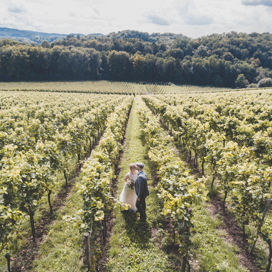 mariés dans les vignes