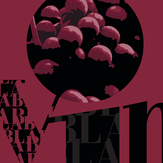 charabia du vin