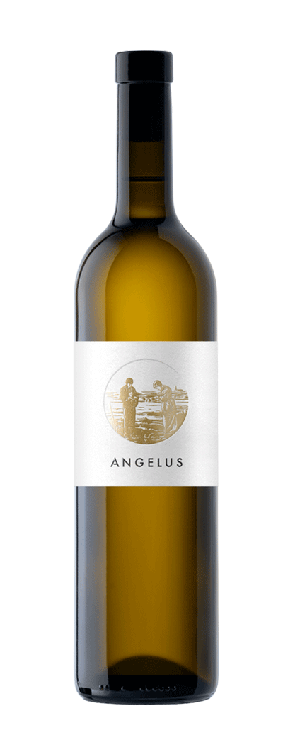 Bouteille de vin blanc du Domaine Angélus
