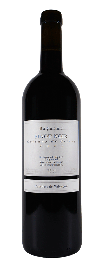 Bouteille de vin rouge Pinot Noir de la cave Bagnoud vins