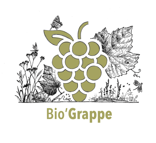 BioGrappe la formule des vins valaisans biologiques