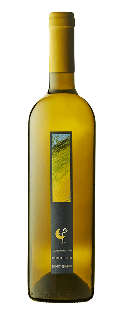 Bouteille de vin blanc Viognier de la cave Thierry Constantin 