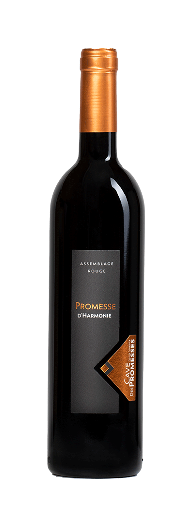 Bouteille de vin d'assemblage Rouge "Promesse d'Harmonie" de la Cave des Promesses