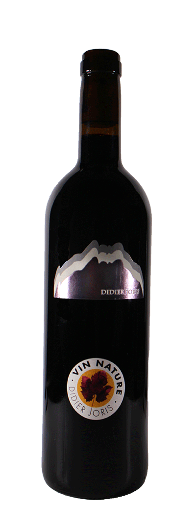 Divico de Didier Joris