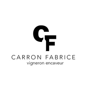Logo Fabrice Carron