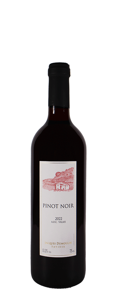 Pinot Noir - Jacques Dumoulin
