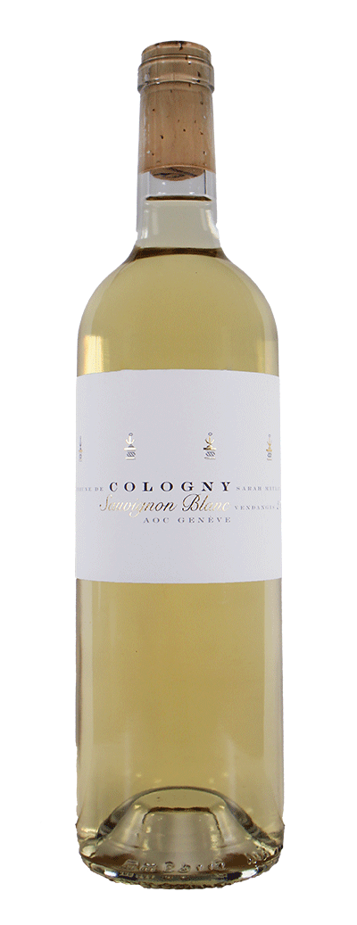 Bouteille de vin blanc de Sauvignon du Domaine de la Vigne Blanche