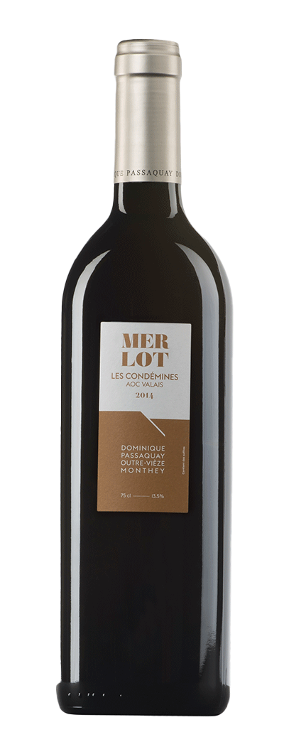 Bouteille de vin rouge Merlot de la cave Dominique Passaquay