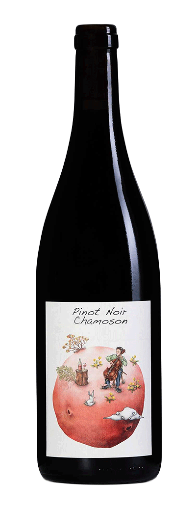 Bouteille de vin rouge Pinot Noir de Chamoson du Domaine des Petites Planètes