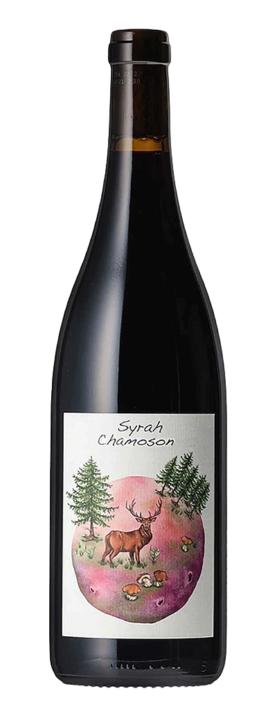 Bouteille de vin rouge Syrah de Chamoson du Domaine des Petites Planètes