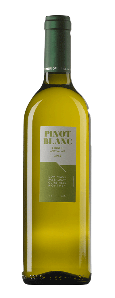 Bouteille de vin de Pinot Blanc de la cave Dominique Passaquay