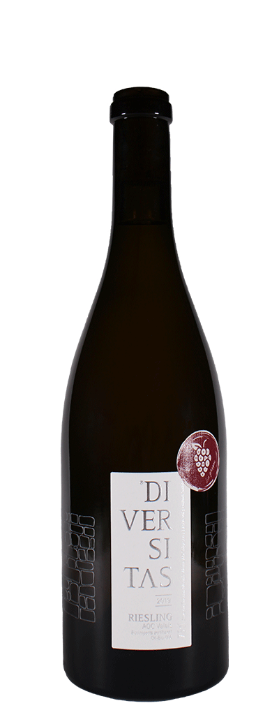 Bouteille de vin blanc Riesling Diversitas de la cave du Rhodan