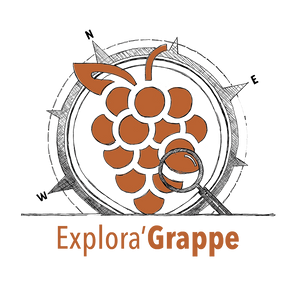 Box de vin valaisan Explora'Grappe